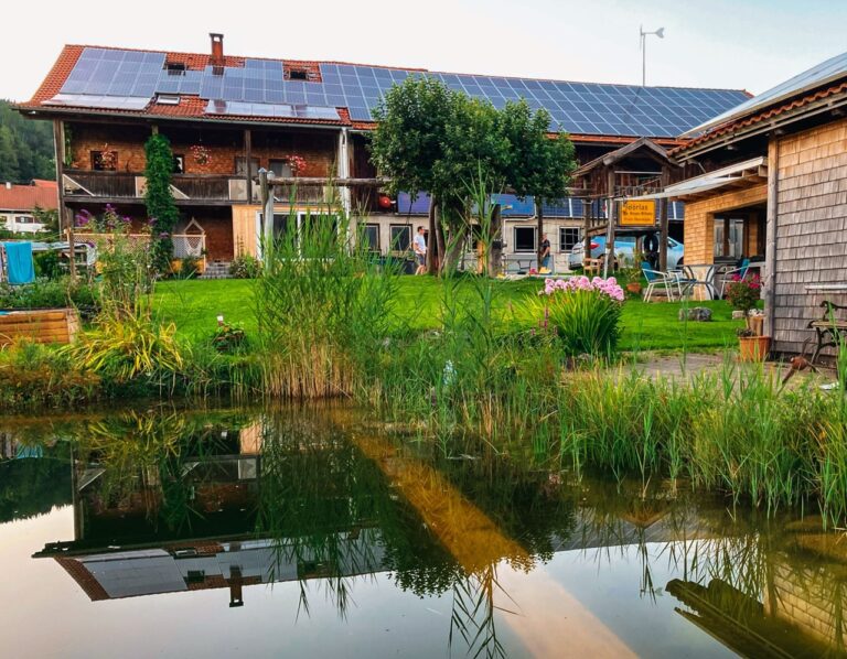Schwimmteich und Garten