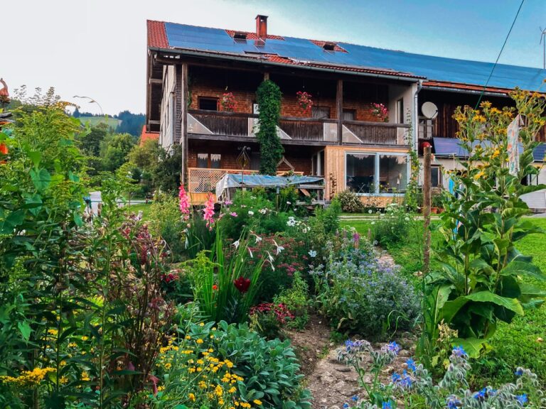 Unser Hof im Sommer