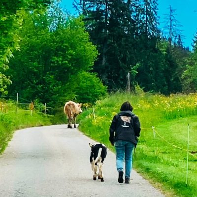 Kiah an Berg bringen