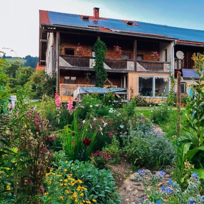 Unser Hof im Sommer